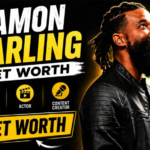 Damon Darling Net Worth